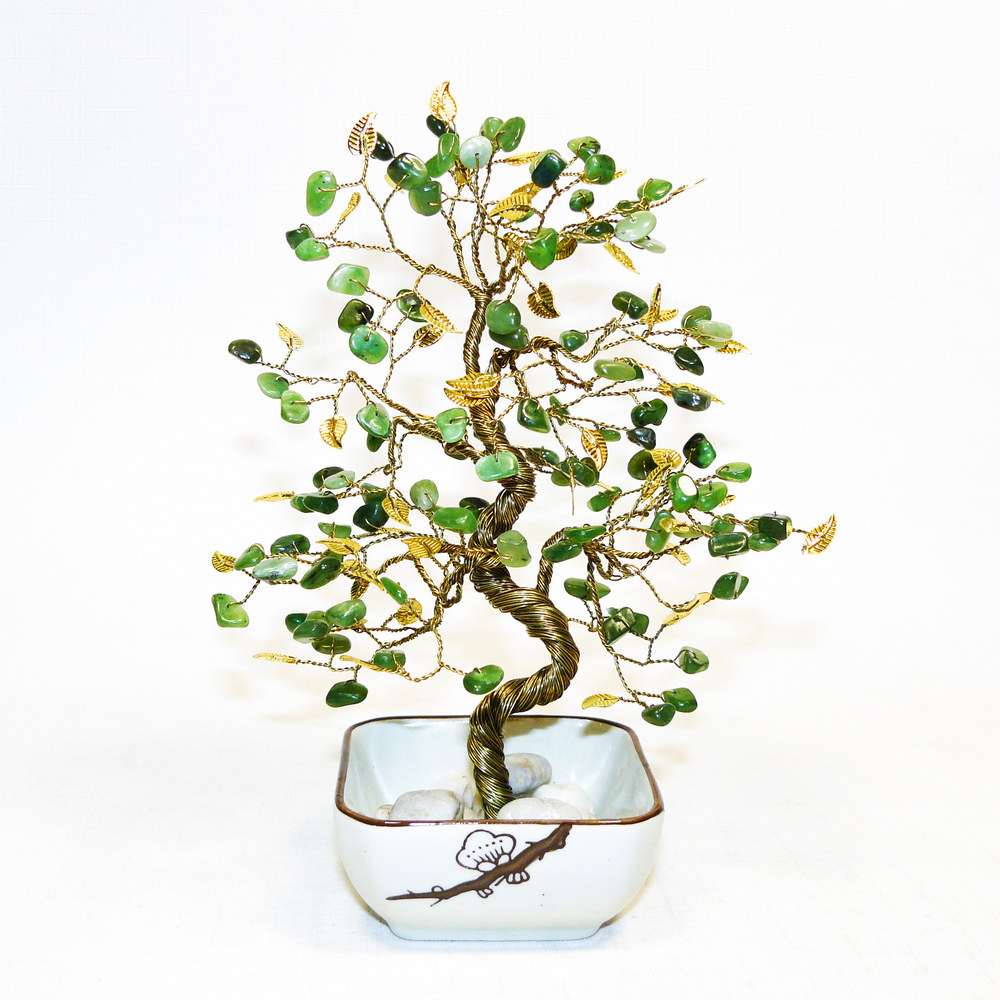 Нефритовое дерево - Японский сад - дерево счастья