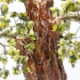 Древо исполнения желаний из нефрита - дерево счастья