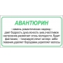 Брелок из авантюрина